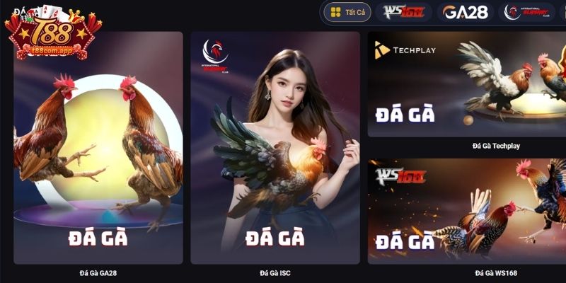 Giới thiệu sảnh Đá Gà T88