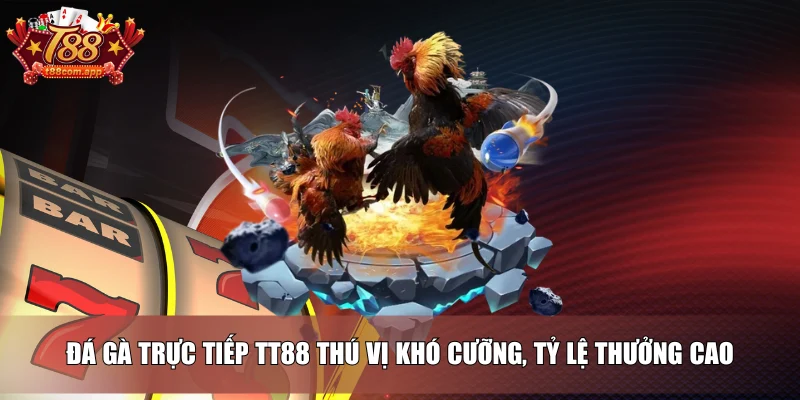 Đá gà trực tiếp TT88 thú vị khó cưỡng, tỷ lệ thưởng cao